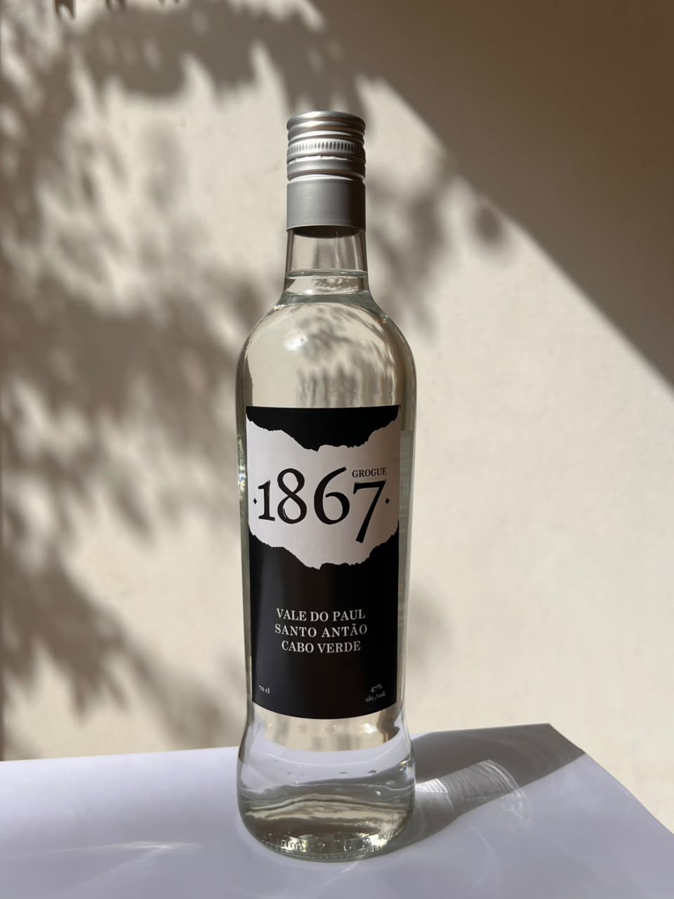 Garrafa de Grogue 1867 Original iluminada pelo sol, diante de uma parede com sombras de folhas