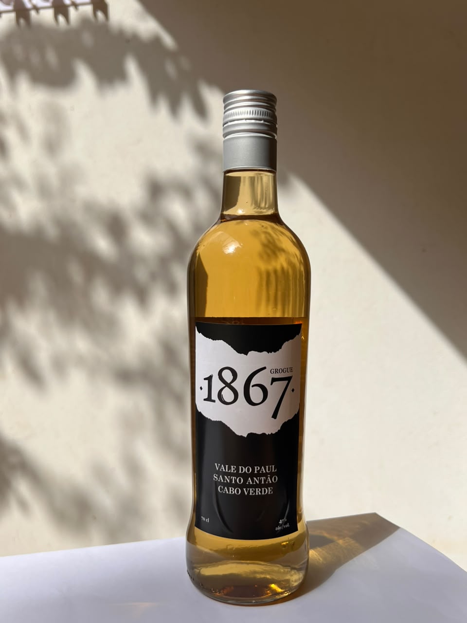 Garrafa de Grogue 1867 Velho iluminada pelo sol, diante de uma parede com sombras de folhas